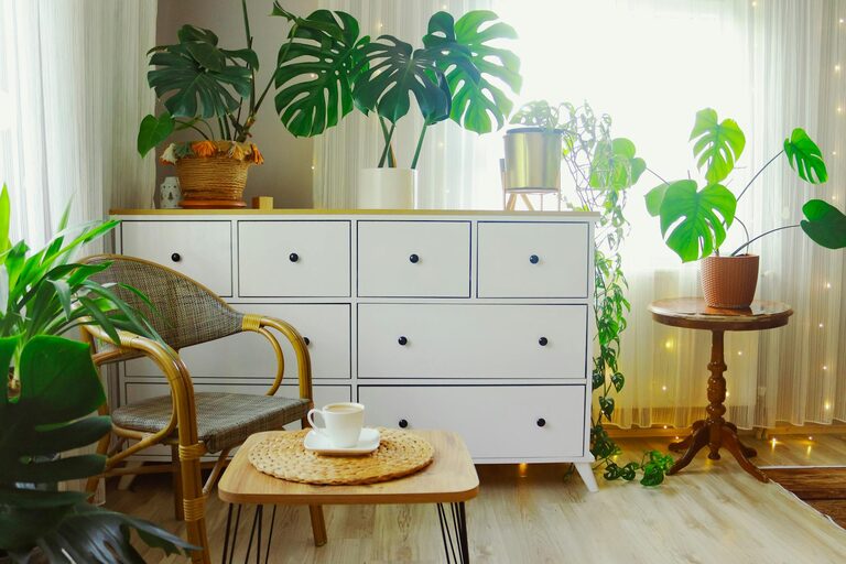 Tips for Creating a Sustainable and Eco-Friendly Home Environment