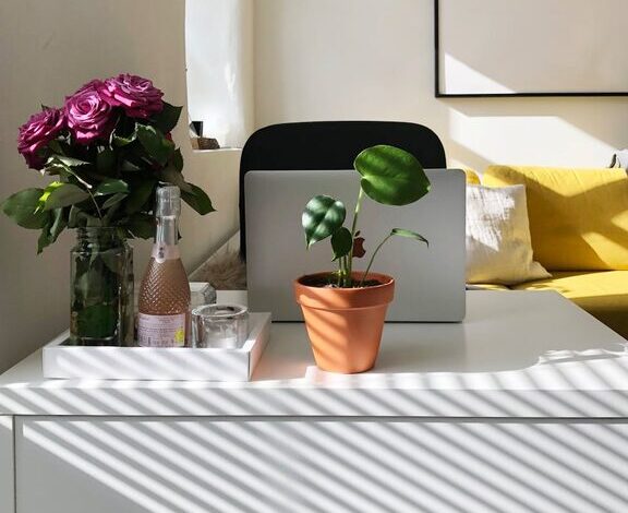 How to Create a Cozy and Productive Home Office Space